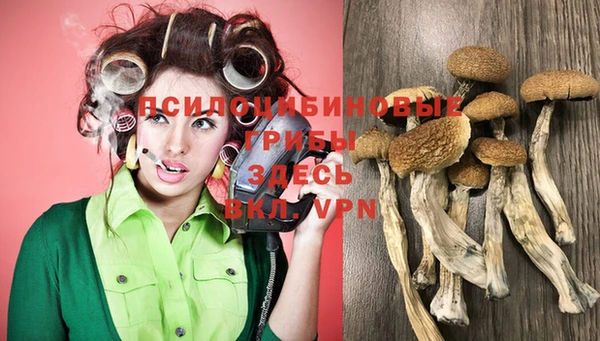 мяу мяу кристалл Богданович